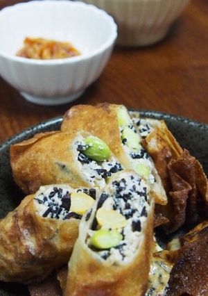 お豆腐の春巻き-レシピのメイン写真