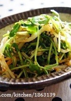 節約＆栄養満点◎豆苗ともやしのごま和え-レシピのメイン写真