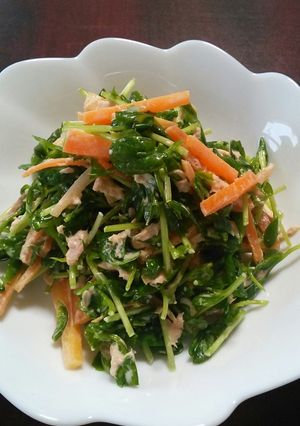 ５分♪豆苗とシーチキンのマヨポンサラダ☆-レシピのメイン写真