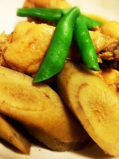 簡単♪手羽元とごぼうのさっぱり煮-レシピのメイン写真