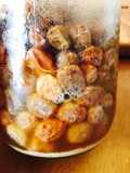 少量でパワフルな☆レーズン酵母起こし
