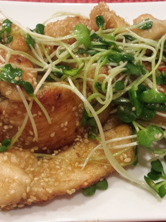 鶏むね肉の胡麻醤油-レシピのメイン写真