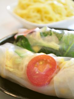 簡単☆夏野菜の生春巻き冷し中華-レシピのメイン写真