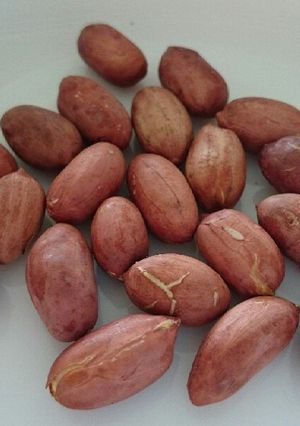 レンジで簡単！ローストピーナッツ-レシピのメイン写真