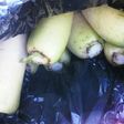 大根の長期保存方法♪
