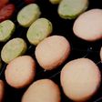 噂のココナッツオイルでさくさくクッキー♡