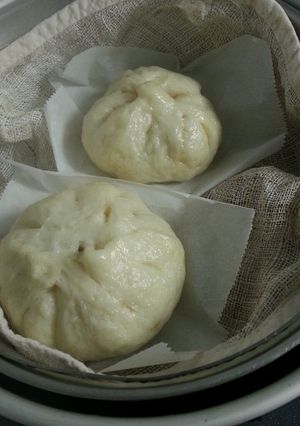 ドライイーストの肉まん生地(HB使用)-レシピのメイン写真