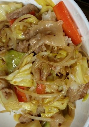 野菜たっぷり焼肉風丼-レシピのメイン写真