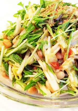胡麻の香り♪白菜と水菜のサラダ-レシピのメイン写真