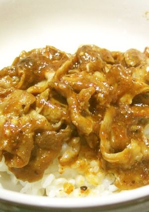 四川風豚肉丼-レシピのメイン写真