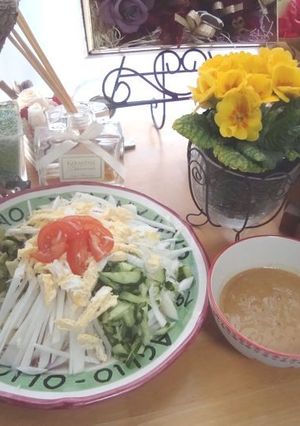 豆乳ごまだれサラダ冷やし中華♪-レシピのメイン写真
