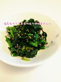 塩昆布でうまうま~ほうれん草ナムル☆-レシピのメイン写真
