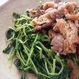 豆苗の炒め物♧