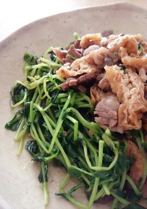 豆苗の炒め物♧-レシピのメイン写真