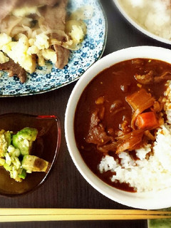 家庭で作るしっかり和風カレー-レシピのメイン写真