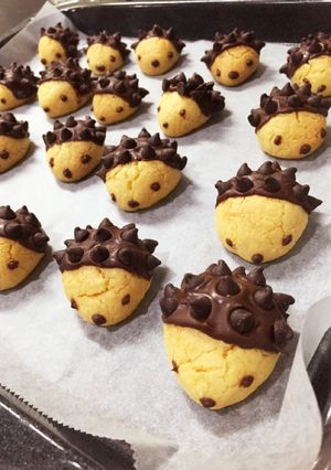 ハリネズミクッキー-レシピのメイン写真