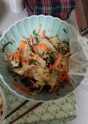 白菜とツナの塩昆布サラダ-レシピのメイン写真
