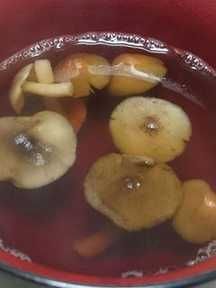 晩秋・山採りきのこ3種の吸い物(絶品)-レシピのメイン写真