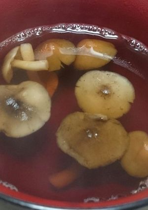 晩秋・山採りきのこ3種の吸い物(絶品)-レシピのメイン写真