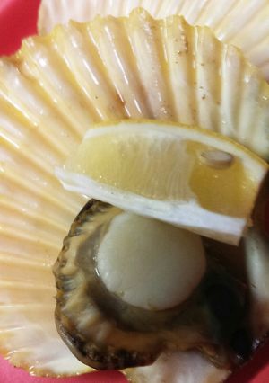 ひおうぎ貝の酒蒸し◆レンジで♪カラフル貝-レシピのメイン写真