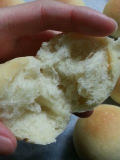 ミニ丸パン(HB使用)-レシピのメイン写真