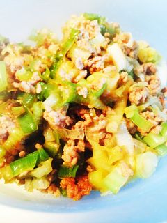 長ねぎと挽肉の醤油炒め-レシピのメイン写真