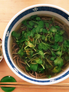 とろろ昆布とつまみ菜お蕎麦-レシピのメイン写真