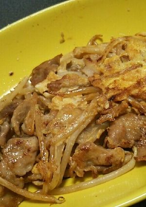 豚肉ともやしの卵炒め-レシピのメイン写真