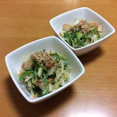 和食に合う♡もやしとピーマンのサラダ-レシピのメイン写真