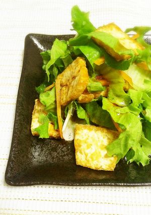 リーフレタスと揚げ豆腐のピリ辛サラダ-レシピのメイン写真