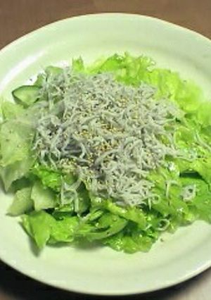 ゴマ風味♪しらすとレタスのサラダ-レシピのメイン写真