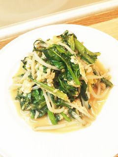 ほうれん草と春菊の卵炒め-レシピのメイン写真