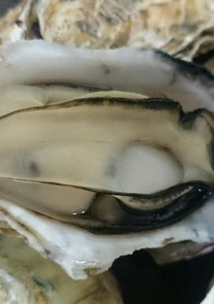 フライパンで作る！超簡単！牡蠣の酒蒸し-レシピのメイン写真