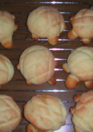 カメのメロンパン-レシピのメイン写真