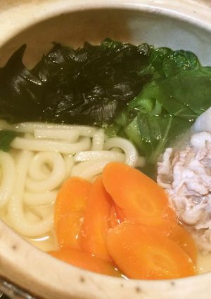 犬ごはん・土鍋で簡単♪鍋焼きうどん-レシピのメイン写真