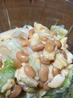 納豆と卵とレタスのサラダ-レシピのメイン写真
