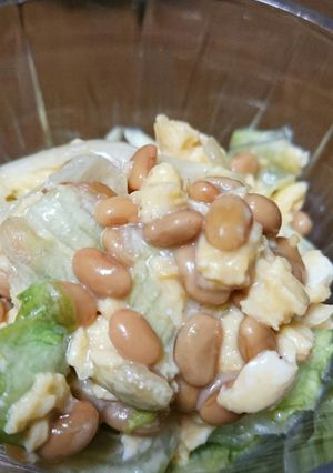 納豆と卵とレタスのサラダ-レシピのメイン写真