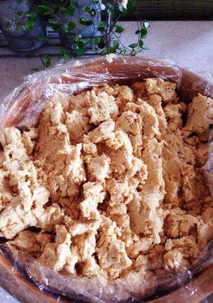 麹屋さんの手作り味噌 2015 覚書-レシピのメイン写真