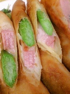 ベーコン&アスパラ&チーズの春巻き♪-レシピのメイン写真