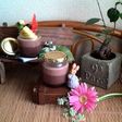 フルーツのせ✡.*ぷるっ~ココアプリン