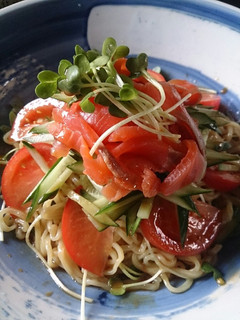 野菜たっぷり!サラダ冷麺-レシピのメイン写真