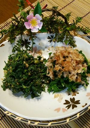 春の香り！なずなのお浸し花鰹＆胡麻和え♪-レシピのメイン写真