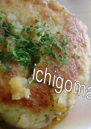おからバーグ-レシピのメイン写真