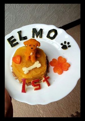 犬用簡単ケーキ-レシピのメイン写真