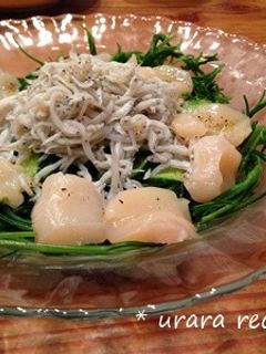 ホタテとおかひじきのサラダ-レシピのメイン写真