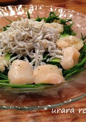 ホタテとおかひじきのサラダ-レシピのメイン写真