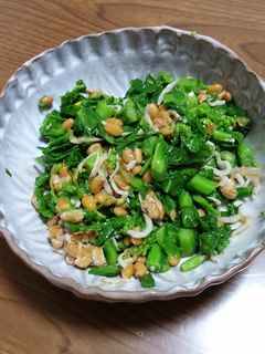 菜の花と納豆の和え物-レシピのメイン写真