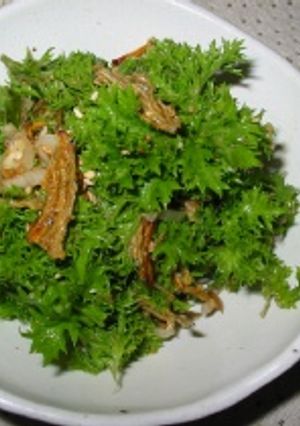 朝の健康食☆たたみいわしと青菜のサラダ風-レシピのメイン写真
