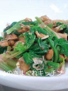 納豆とほうれん草の和え物-レシピのメイン写真