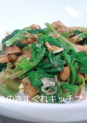 納豆とほうれん草の和え物-レシピのメイン写真